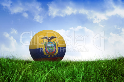 Football in ecuador colours