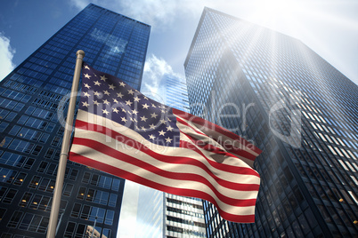 Usa national flag