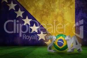 Brazil world cup 2014