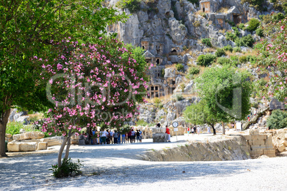 The rock-cut tombs in Myra and Bougainvillea tree, Antalya, Turk