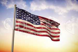 Usa national flag
