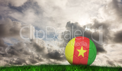 Composite image of football in cameroon colours