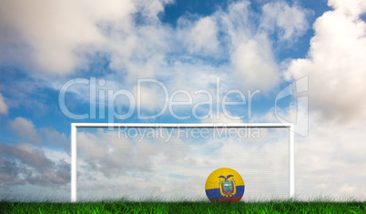 Composite image of football in ecuador colours