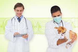 Composite image of vet and smiling doctor
