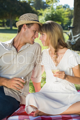 Cute couple drinking white wine on a picnic Cute couple drinking white wine on a picnic