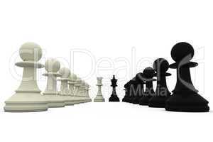 Black and white king standing with pawns