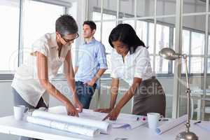 Two architects looking at blueprints