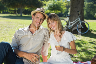 Cute couple drinking white wine on a picnic smiling at camera