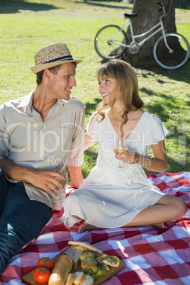Cute smiling couple drinking white wine on a picnic