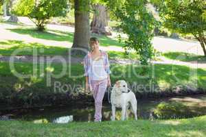 Pretty smiling blonde walking with her labrador in the park