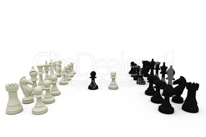 Black and white chess pieces Black and white chess pieces