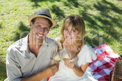 Cute couple drinking white wine on a picnic smiling at camera