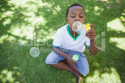 Little boy blowing bubbles in the park