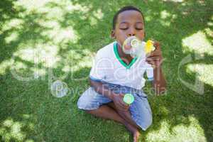 Little boy blowing bubbles in the park