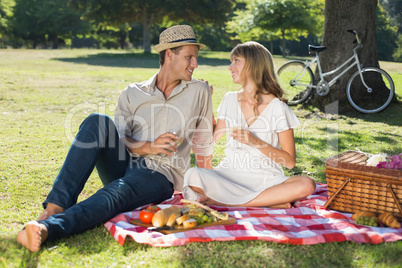 Cute couple drinking white wine on a picnic