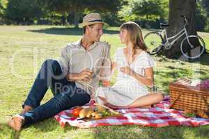 Cute couple drinking white wine on a picnic