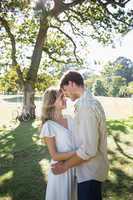 Smiling couple standing and embracing in park