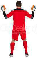 Rear view of goal keeper