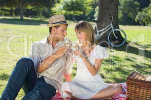 Cute couple drinking white wine on a picnic smiling at each othe