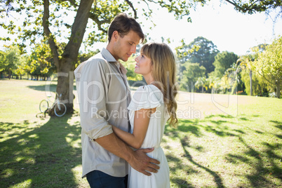 Smiling couple standing and embracing in park