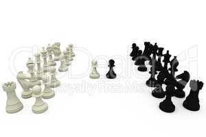 Black and white chess pieces