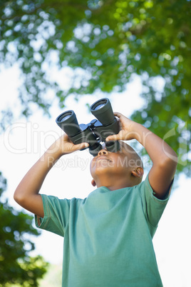 Little boy looking up through binoculars in the park