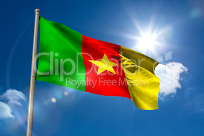 Cameroon national flag on flagpole