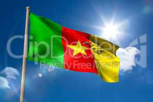 Cameroon national flag on flagpole