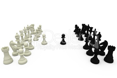 Black and white chess pieces