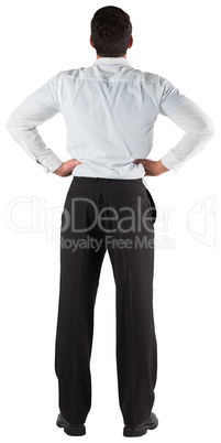 Businessman standing back to the camera with hands on hips