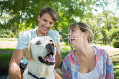 Happy couple sitting with their labrador in the park