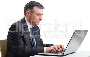 Mature businessman using his laptop