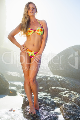 Gorgeous blonde in bikini posing on the beach