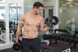 Shirtless focused bodybuilder lifting heavy black dumbbells