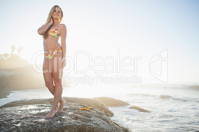 Gorgeous blonde in floral bikini posing at the beach