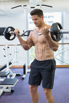 Shirtless focused bodybuilder lifting heavy barbell weight