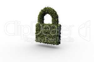 Lock made of leaves