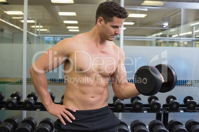 Shirtless bodybuilder lifting heavy black dumbbell