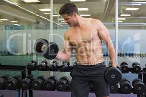 Shirtless determined bodybuilder lifting heavy black dumbbells