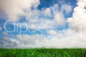 Green grass under blue sky