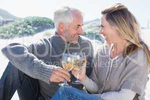 Couple enjoying white wine on picnic at the beach