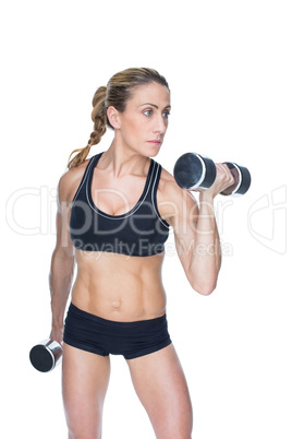 Female bodybuilder working out with large dumbbells