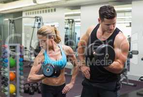 Muscular man and woman lifting dumbbells together