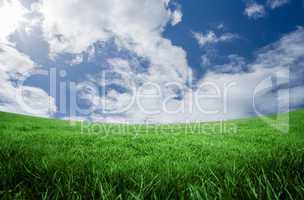 Green field under blue sky