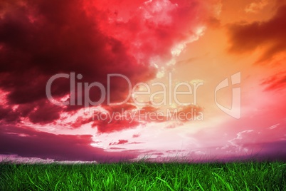 Green grass under red and purple sky