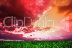 Green grass under red and purple sky