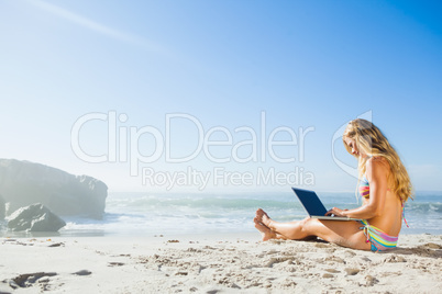 Gorgeous blonde in bikini using laptop on the beach