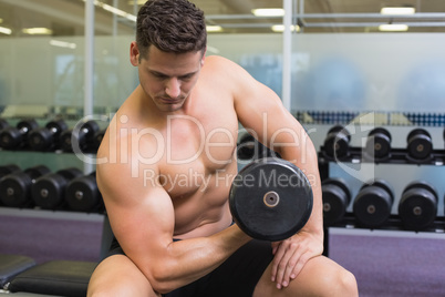 Shirtless bodybuilder lifting heavy black dumbbell