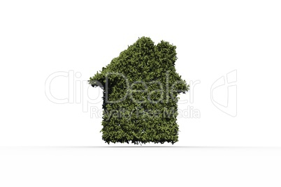 House shape made of leaves