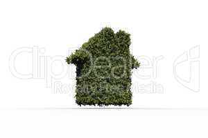 House shape made of leaves